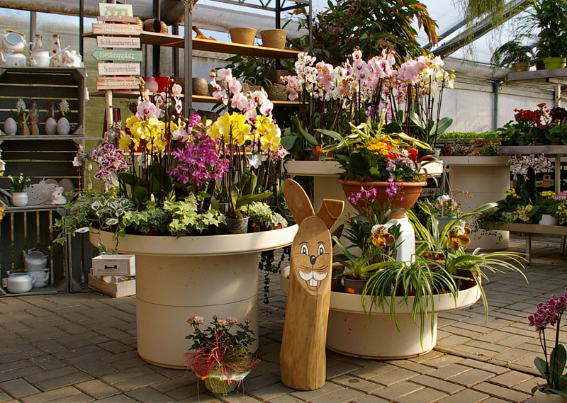 Gartenbau Golda in Rehfeld bei Falkenberg