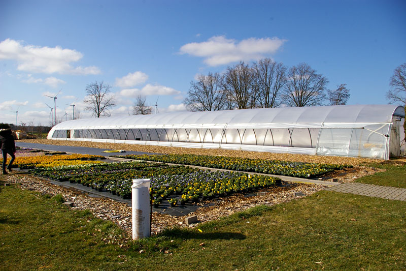 Gartenbau Golda in Rehfeld bei Falkenberg