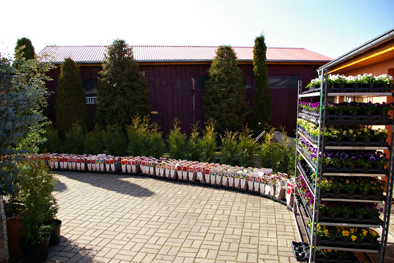 Gartenbau Golda in Rehfeld bei Falkenberg